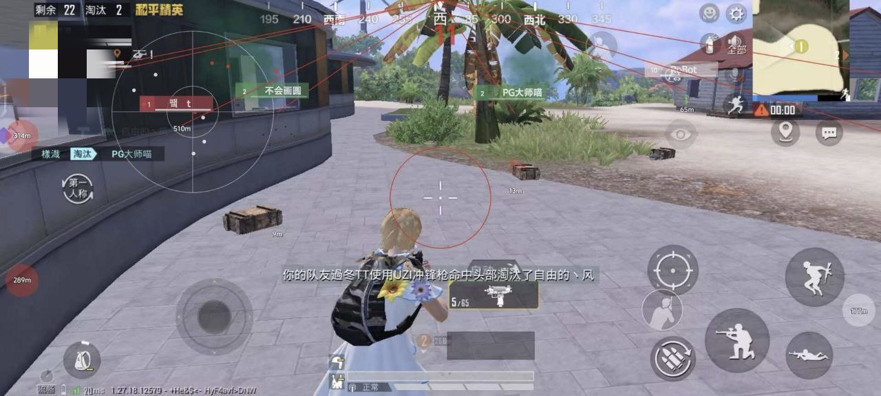 和平精英【德尔塔】模拟器辅助